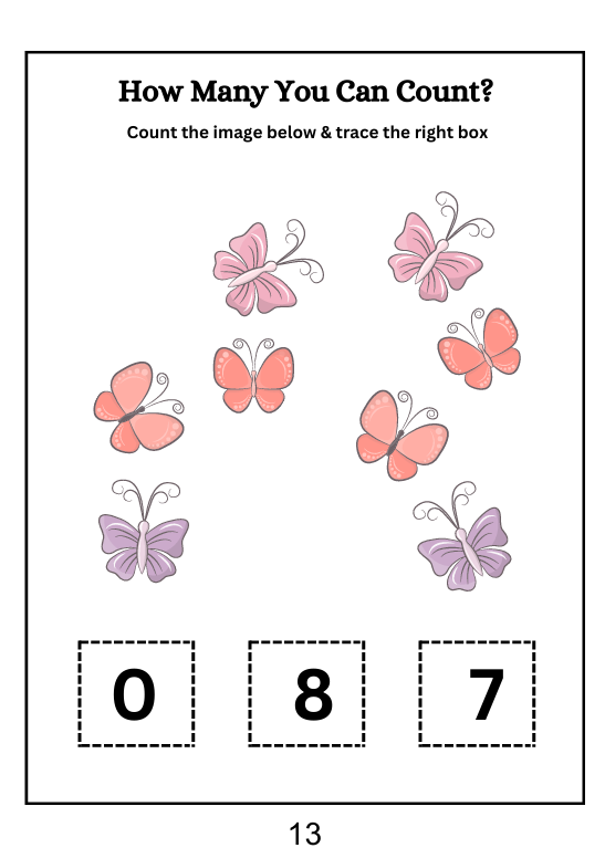 Butterfly Counting Fun